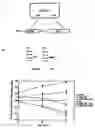 Fig. 01 - Methods and Compositions for Inhibiting Cell Death or Enhacing Cell Proliferation