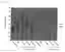 Fig. 07 - Methods and Compositions for Inhibiting Cell Death or Enhacing Cell Proliferation