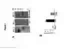 Fig. 09 - CHEMOKINE-BINDING PROTEIN AND METHODS OF USE