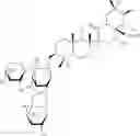 Fig. 05 - Triterpenes for modulating gene expression and cell membrane, and as antiprotozoal agents