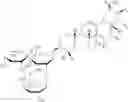 Fig. 36 - Triterpenes for modulating gene expression and cell membrane, and as antiprotozoal agents