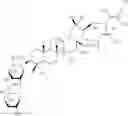 Fig. 74 - Triterpenes for modulating gene expression and cell membrane, and as antiprotozoal agents