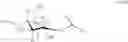 Fig. 35 - Method of Producing Hydroxyalkyl Starch Derivatives