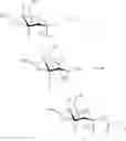 Fig. 76 - Method of Producing Hydroxyalkyl Starch Derivatives