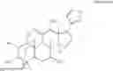 Fig. 06 - Anti-hepatitis C composition and method for preparing drug for inhibiting hepatitis C viruses or treating hepatitis C