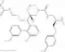 Fig. 76 - Renin Inhibitors
