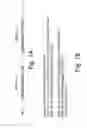 Fig. 02 - Nucleic acid sequences comprising NF-κB binding site within O(6)-methylguanine-DNA-methyltransferase (MGMT) promoter region and uses thereof for the treatment of cancer and immune-related disorders