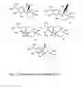 Fig. 02 - DIETARY AND PHARMACEUTICAL COMPOSITIONS COMPRISING A SAGE EXTRACT CONTAINING A MIXTURE OF TRICYCLIC DITERPENES AND THEIR DERIVATIVES AND THEIR USES