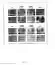 Fig. 02 - NEOPLASM SPECIFIC ANTIBODIES AND USES THEREOF