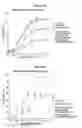 Fig. 44 - IgG Immunoglobulin Variants with Optimized Effector Function