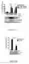 Fig. 02 - hnRNP K expression-inhibiting compound and siRNA sequence thereof