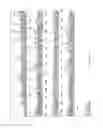 Fig. 04 - Polyelectrolyte-Coated Size-Exclusion Ion-Exchange Particles
