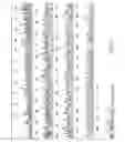 Fig. 10 - Polyelectrolyte-Coated Size-Exclusion Ion-Exchange Particles
