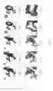 Fig. 07 - Sucrose of new conformational polymorphs and manufacturing method thereof