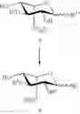 Fig. 34 - Production Of L-Iduronate Containing Polysaccharides