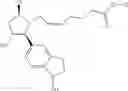 Fig. 241 - Therapeutic compounds