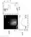 Fig. 35 - MRI-guided devices and MRI-guided interventional systems that can track and generate dynamic visualizations of the devices in near real time