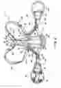 Fig. 03 - ADJUSTABLE POSTERIOR SPINAL ORTHOSIS