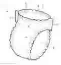 Fig. 01 - DISPOSABLE UNDERGARMENT WITH IMPROVED ELASTICISED SECTIONS
