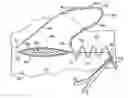Fig. 01 - Subcutaneous sinusoidal wound closure utilizing one-way suture