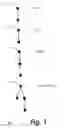 Fig. 02 - Method and/or system for tagging trees