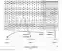 Fig. 01 - Method for enhancing reliability of information transmission
