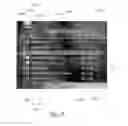 Fig. 17 - Multimedia mobile personalization system
