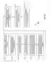 Fig. 06 - METHOD AND SYSTEM FOR REMOVING ADVERTISING CONTENT FROM TELEVISION OR RADIO CONTENT