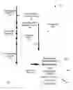 Fig. 08 - Directing Interactive Content