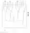 Fig. 08 - Multiple dwelling unit satellite television delivery system
