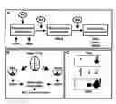 Fig. 01 - GDE Compositions and Methods