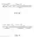 Fig. 05 - METHODS AND COMPOSITIONS FOR GENETIC TRANSFORMATION OF PLANT CHLOROPLASTS