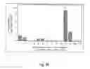 Fig. 13 - METHODS AND COMPOSITIONS FOR GENETIC TRANSFORMATION OF PLANT CHLOROPLASTS