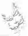 Fig. 02 - Swimming goggles