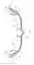 Fig. 07 - Swimming goggles
