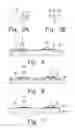 Fig. 03 - DISPLAY MATERIALS, ACCESSORIES THEREFOR AND METHODS