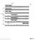 Fig. 08 - Method for making microstructured objects