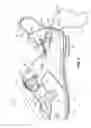 Fig. 04 - CYCLING SHOE WITH REAR ENTRY