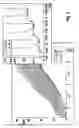 Fig. 07 - Hydraulic system with improved pulsation damping