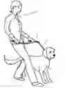 Fig. 01 - Animal Training Device