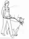 Fig. 07 - Animal Training Device