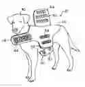 Fig. 01 - Pressure-applying garment for animals