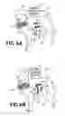 Fig. 07 - Pressure-applying garment for animals