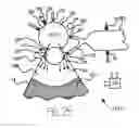 Fig. 22 - Internal combustion engines