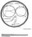 Fig. 01 - Internal combustion (IC) engine head assembly combustion chamber multiple spark ignition (MSI) fuel savings device and methods of fabrication thereof