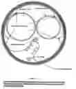 Fig. 02 - Internal combustion (IC) engine head assembly combustion chamber multiple spark ignition (MSI) fuel savings device and methods of fabrication thereof