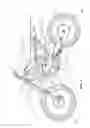 Fig. 02 - Reverse rotation preventive device for engine of motorcycle