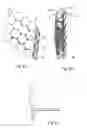 Fig. 06 - Concentrating Solar Energy System for Multiple Uses