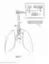 Fig. 02 - Method and system for determining tracheal and location information for a tracheal tube