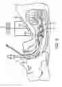 Fig. 06 - Method and system for determining tracheal and location information for a tracheal tube